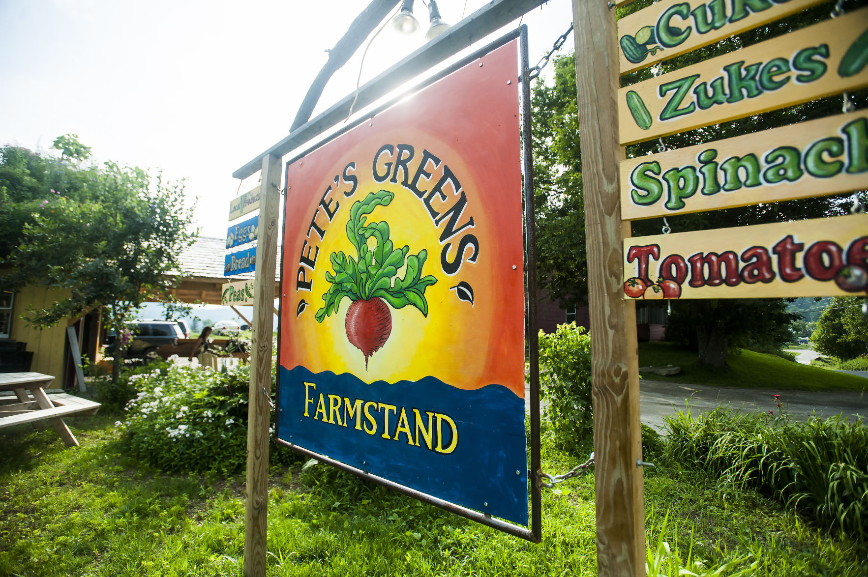 Fighting for farmland, Photo 4-VT_Ericson_99.jpg